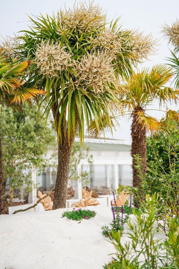 Hotel Le Noirmoutier Barbatre Экстерьер фото